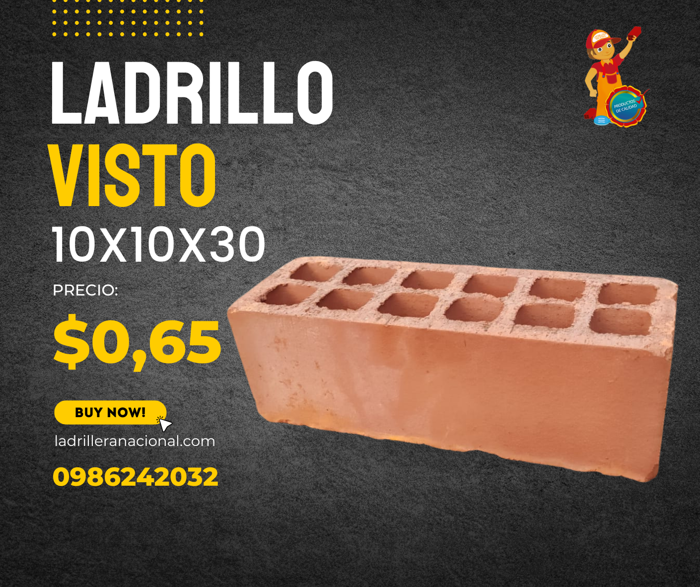 Ladrillo 10x10x30 cm